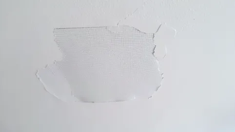 zatapianie siatki na suficie cena