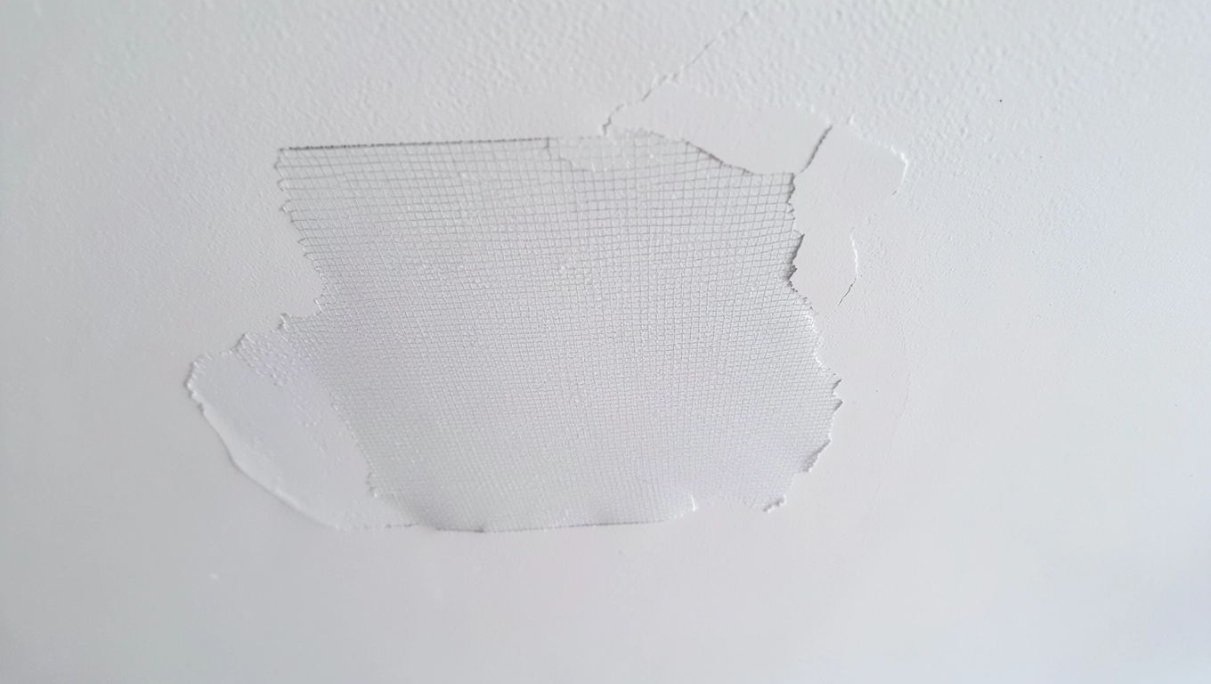 Zatapianie siatki na suficie cena